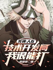 死神我有无数自创斩魄刀